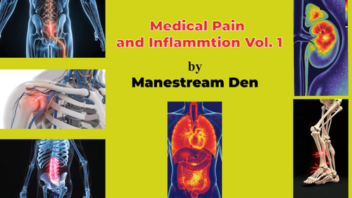 Detailed 3D Human Anatomy Medical Animations with Pain Highlighting