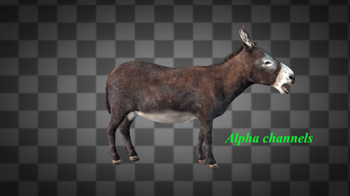 Ass Calling Idle Alpha Channel 2