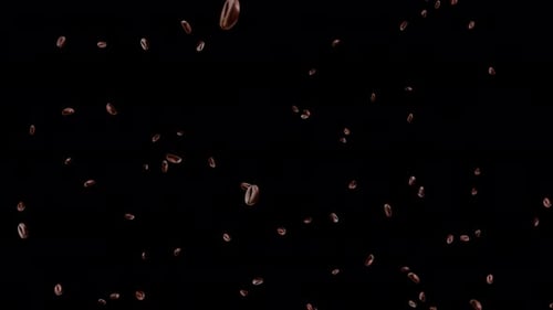 High quality animation of falling coffee beans loop background in slow motion in 4K. Green Screen.