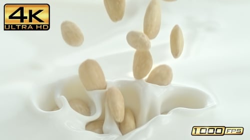 Almonds Falling Into Milk Create Splash in Close-up