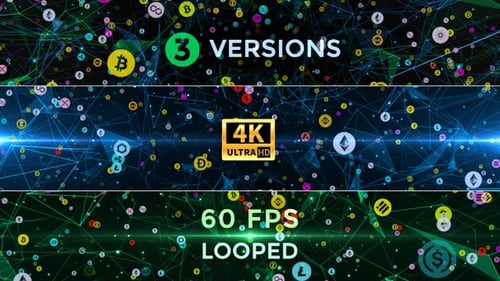 Neural Crypto Network 4K