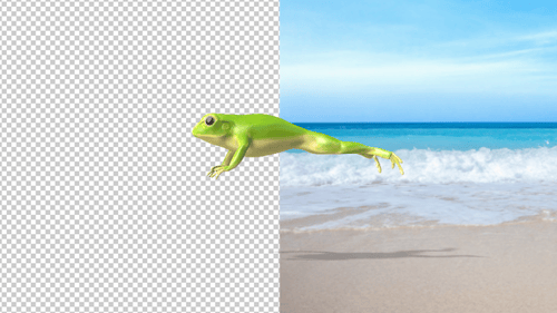 Animated Green Frog Jumping and Hopping