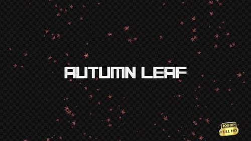 Falling Autumn Leaves with Transparent Background Animation