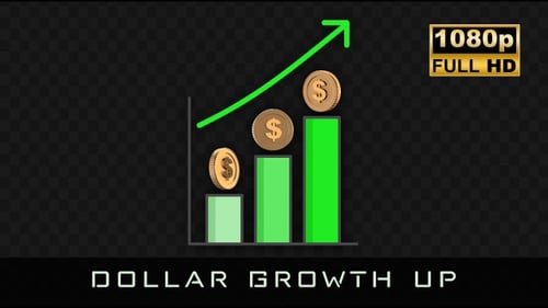 Animated Bar Chart for Financial Growth and Decline