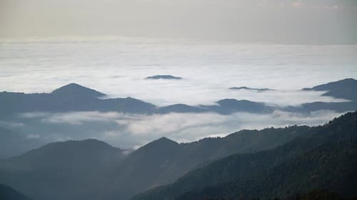 8K Above The Clouds In Tropical Rainforest