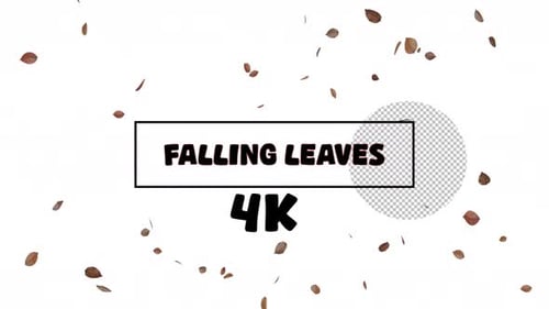 Natural Falling Brown Leaves Overlay