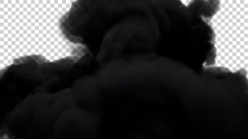 Dynamic Black Fluid Smoke Ink Reveal Transition
