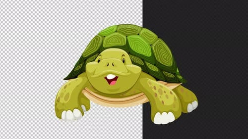 Cute Animated Green Turtle Character Blinking Animation