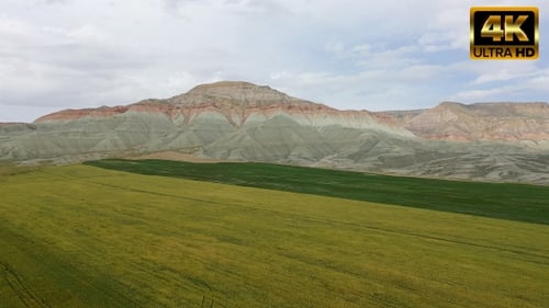 Field of Wheat Aerial Video