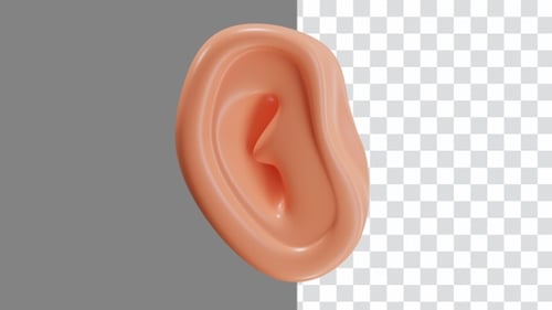 3D Animated Human Ear Rotation on Transparent Background