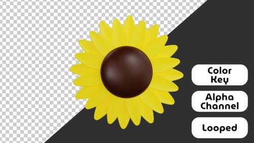 Gentle Expanding 3D Sunflower Animation Loop