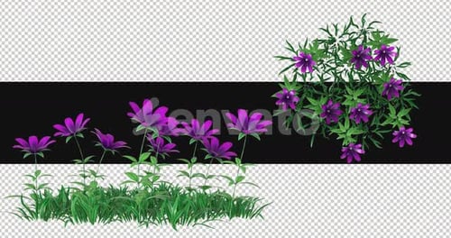 Pack Of 2 Flower Patch Moving In The Wind On Alpha Loop