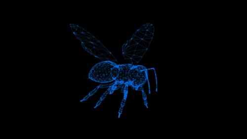 Futuristic Blue Wireframe Bee Rotating Technology Animation