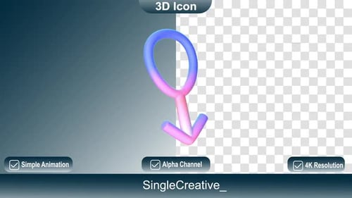 3D Male and Female Gender Symbols Rotating Animation