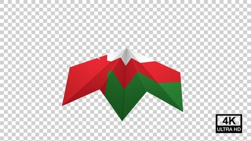 Drapeau de l'avion en papier d'Oman
