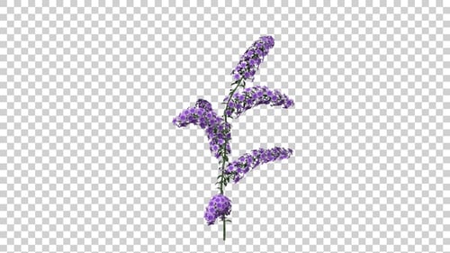Gently Swaying Purple Flower with Alpha Channel for Natural Scenes