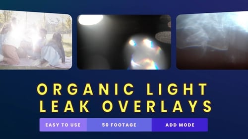 Cinematic Organic Light Leak Overlays