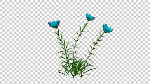 Animated Blue Flowers and Green Grass Loop