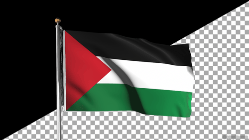 Realistic Palestine National Flag Waving Loop