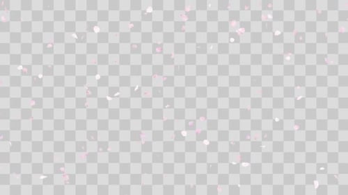 Soft Pink Petals Falling Transparent Overlay Background