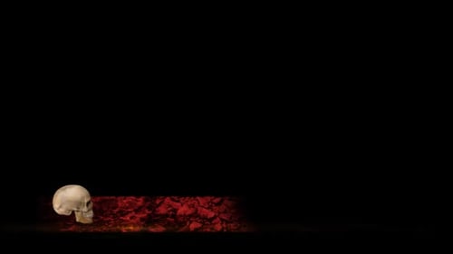 Skull Lower Third - 4k