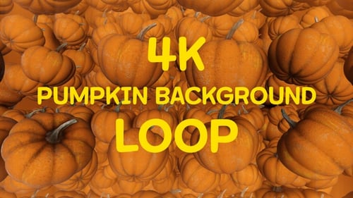 Pumpkin Background Loop 4 K