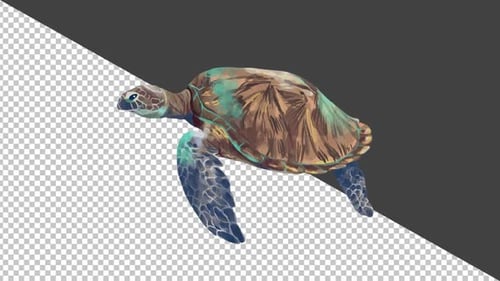 Sea Turtle Swimming - Full HD Alpha