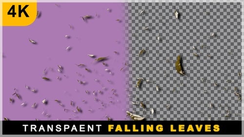 3D-Render-Herbstsaison kommt mit fallendem Blatt auf transparentem Hintergrund