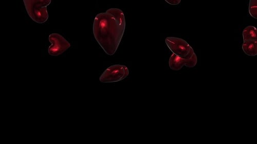 Shiny Red Heart Balloons Falling Animation on Black Background