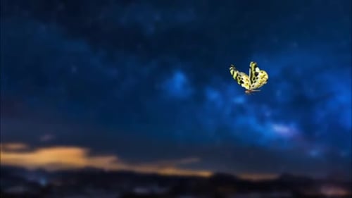Realistic Flying Butterfly Animation