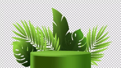 Podium With Green Tropical Palm Background | Alpha