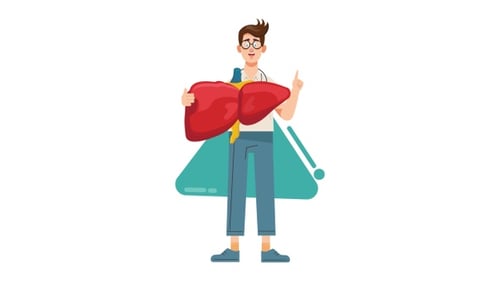 Flat Design Character Holding Human Liver Anatomy