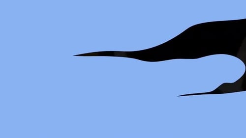 Bubble Elements | Gráficos em Movimento