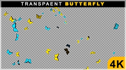 Colorful Flying Butterflies Swarm Animation