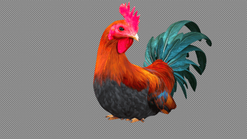 Realistic 3D Animated Rooster Head Turn