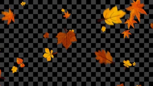 Falling Autumn Leaves Animated Overlay