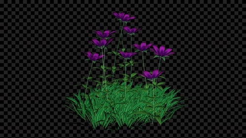 Blumenbeet, das Alpha wächst