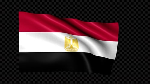Waving Egypt Flag Animated Seamless Loop