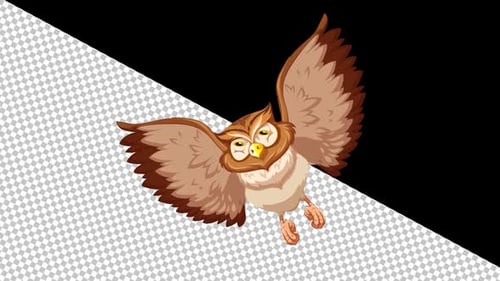 Flying Owl Alpha Channel 1080p