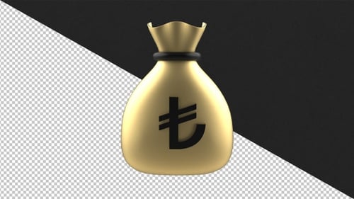 Golden Money Bag with Turkish Lira Symbol Rotating