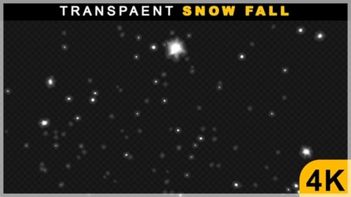 3D Render Small White Snow Going Down Animation On Transparent Background