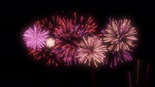 Vibrant Fireworks Bursts on Black Background for Celebrations