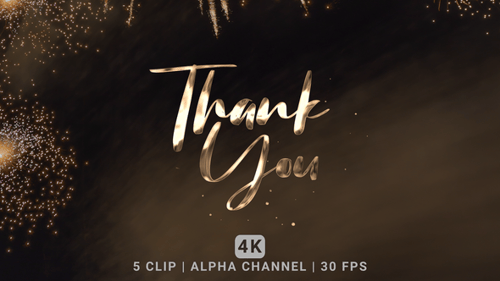 Elegant Script Thank You Text Animation with Metallic Effect