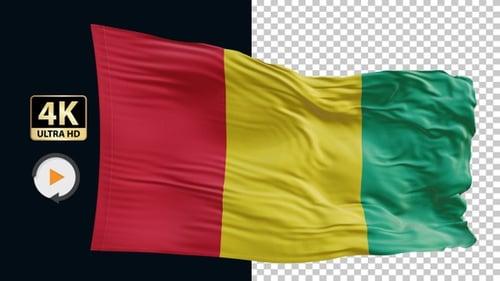 Realistic Waving Guinea Flag Loopable Animation