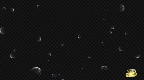 Floating Dandelion Seeds – Alpha Channel v1