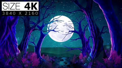 Moonlight In Forest