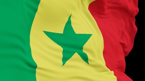 The Senegal with alpha channel waving in the wind in slow motion