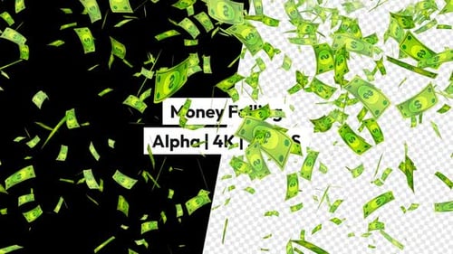 Falling Green Money Bills Animation