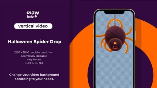 3D Animation Halloween Spider Drop Vertical Transparent Loop