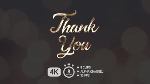 Elegant Metallic Thank You Text Reveal Animation